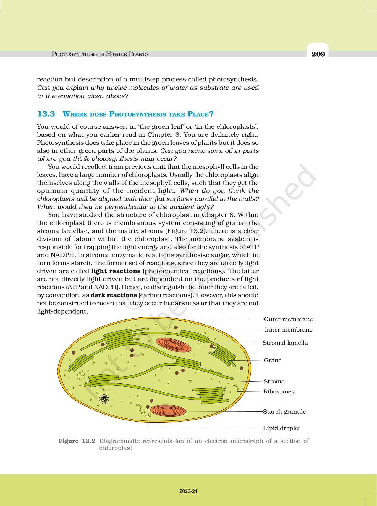 Photosynthesis In Higher Plants NCERT Book Of Class 11 Biology